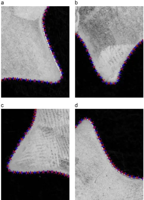 Fig. 13. Comparison at different places of the contour detected using the segment by segment initialization procedure (blue +) or a circle (red  )