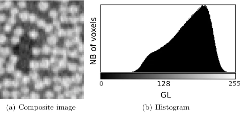 Figure 12: Laminated composite image and its histogram