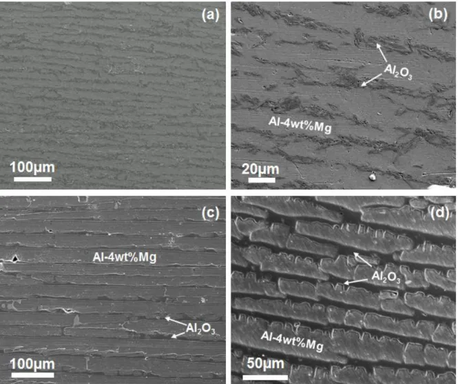 Figure 1. Microstructures of laminated alumina/aluminium composites produced in this study