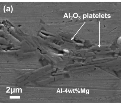 Figure 2.  Alumina platelets arranged within a lamella. The platelets are not perfectly aligned and  some porosity remained between them before infiltration