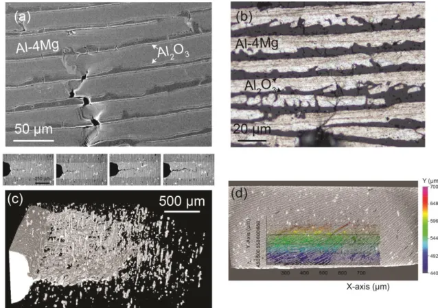 Figure 5. Crack imaging using different techniques: a) SEM; b) optical microscopy and c) X-ray  tomography of crack propagation within a 20 vol.%-5 °C/min particle-based composite