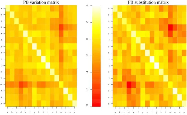 Figure  2.  Correlation  between  global  PB  variation  and  substitution  matrix.  Global  PB  variation  matrix  (left)  shows  similar  patterns  for  local  structural  changes  as  in  global  PB  substitution matrix (right) generated by Joseph  et a