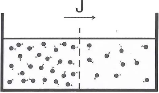 Figure 1.11: Illustrative example of Fick’s first law. (image courtesy of [Basser 2009]).