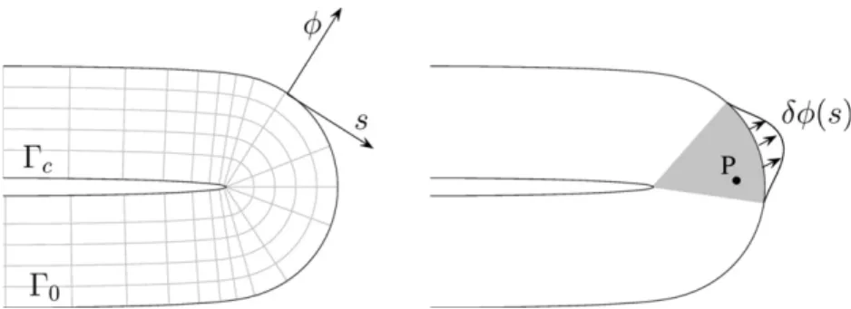 Fig. 2. Alternative system of coordinates (/,s) is depicted on the left. As suggested on the right plot, a damage front C 0 experiencing a front advance d/(s) has an impact on the whole damaged zone sharing the same curvilinear coordinate s (represented by