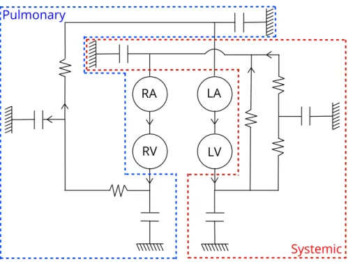 Figure 1.11: Complete modeling of the cardiovascular system using Windkessel models.