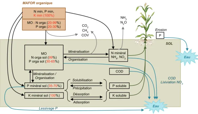 Figure 2-1. Les processus régissant la valeur fertilisante organique des Mafor ; impacts environnementaux associés 