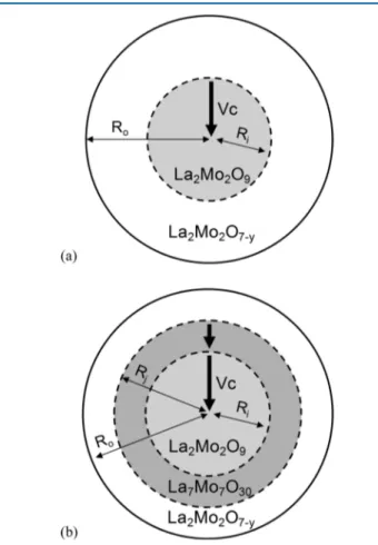 illustration of this kinetic law model in the case of spherical grains with either one or two reactions progressing
