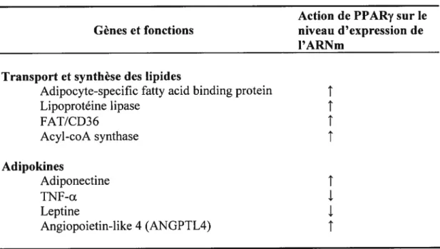 Tableau 2. Exemple de gènes activés ou réprimés par l’activation des PPARy.