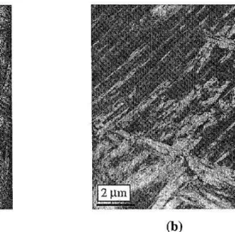 Fig.  4  and  Fig.  5  show  the  TEM micrographs  of  specimens transformed  at  450'C  respectively  without  stress  (450-0)  and  with  stress  (450-144)