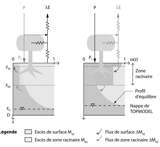 Fig. 1.7. R´epartition verticale de l’humidit´e du sol dans CLSM et flux associ´es.