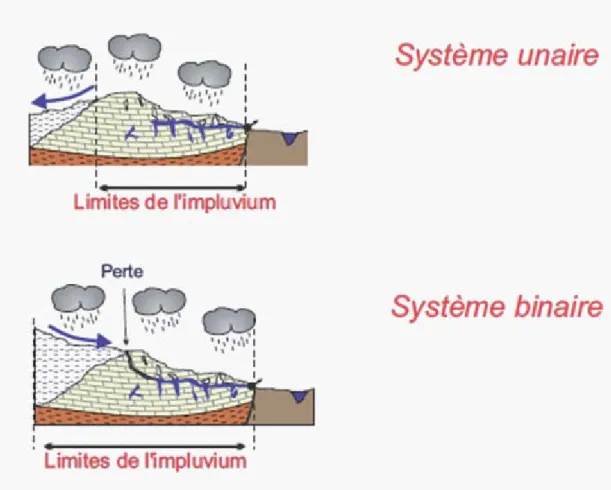 Figure 1-2 Configuration des systèmes karstiques en fonction de leurs réseaux de drainage(Marsaud 1996)