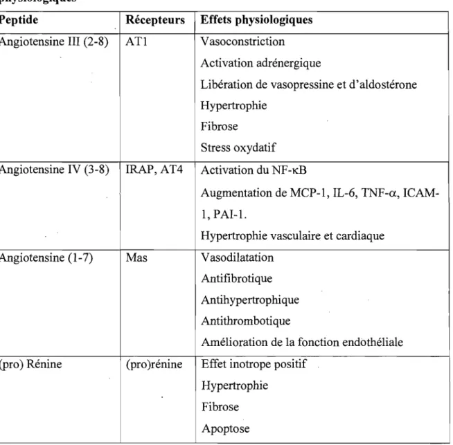 Tableau VIII. Résumé des effets des nouvelles composantes du SRAA et de leurs effets  physiologiques 81 