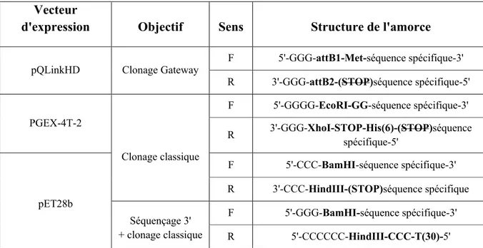 Tableau 1. Structure des amorces dépendamment de la stratégie de clonage. F (forward) :  amorce sens; R (reverse) : amorce anti-sens;  His(6) : séquence codante pour 6 histidine (6x  CAT);  attB1 et attB2, séquence de recombinaison pour le  réaction BP du 