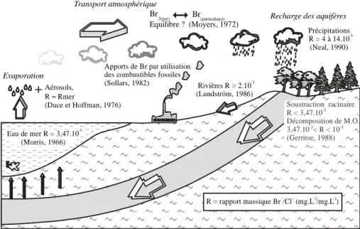 Figure 2.17: Le cycle de l’eau et évolution du rapport Br/Cl (Barbecot, 1999)