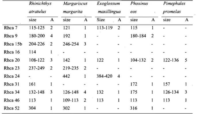 Table  2:  Results of the  cross-species  amplifications of Rhinich/hys ca/arac/ae loci  in  five  Leuciscinae species