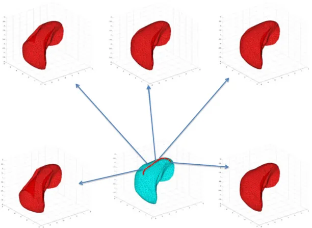 Figure 15. The result of the off-line PGD simulation is a multidimensional solution that depends on the load position