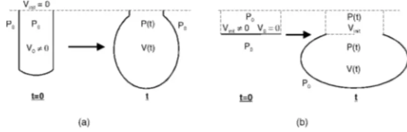 Figure 2. Notations for the pressure evolution calculus: (a) initially non-plane membrane;