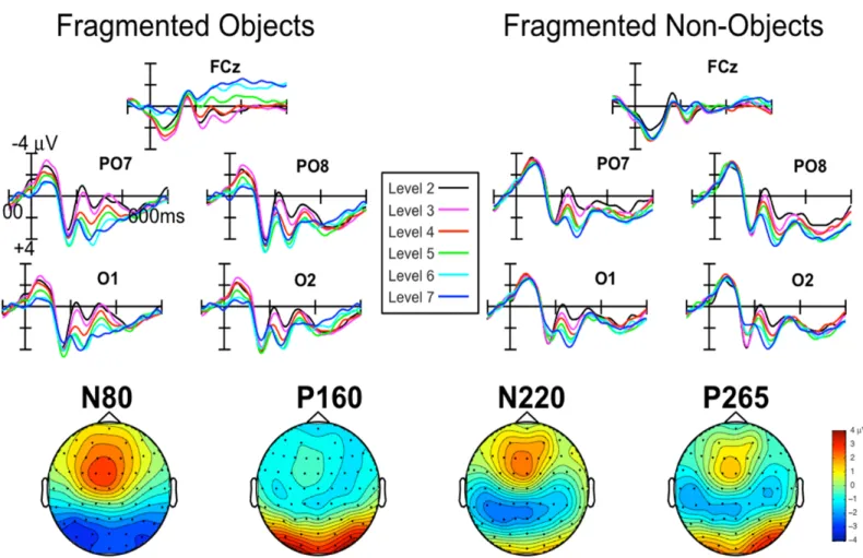 Figure 3. (Top) Grand-averaged ERP waveforms revealing fragmentation level effects on N80 (i.e