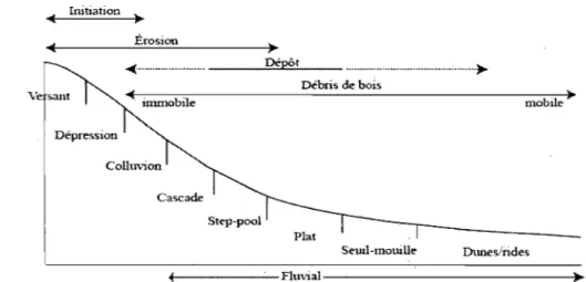 Figure  1.1  Profil  idéalisé  d'un  versant  à  travers  le  réseau  de  drainage,  types  de  chenaux  alluviaux et processus dominants (d'après Montgomery et Buffington,  1997)