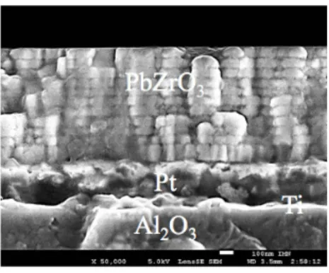 Figure 1. Cross-section SEM image of the PbZrO 3 /Pt/Ti/Al 2 O 3 sample