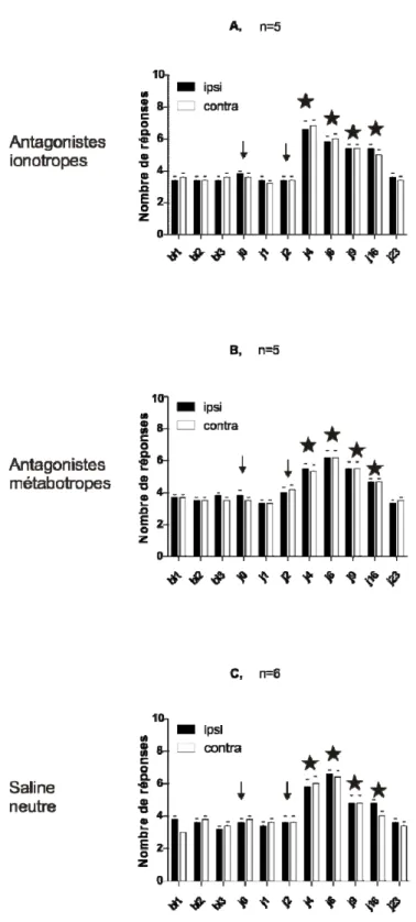 Figure 7 : Effet de l’incorporation des antagonistes glutamatergiques directement dans  la solution de SA utilisée pour la deuxième injection