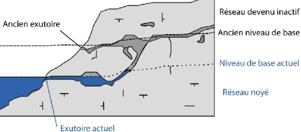 Figure 3 : Organisation du réseau en fonction de la variation du niveau de base 