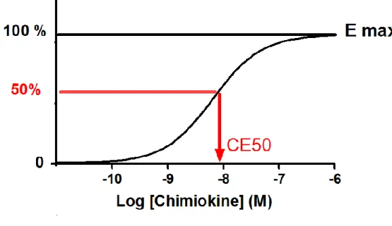 Figure  8.  Notion  de  courbe  dose-réponse.  Représentation  schématique  de  la  réponse  quantitative d’un récepteur après une stimulation par une chimiokine