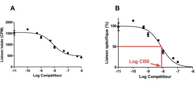 Figure 9. Courbes de radio-liaison par compétition/déplacement.  (A) Représentation de la  liaison  totale,  exprimée  en  comptes  par  minutes  (CPM),  en  fonction  du  logarithme  de  la  concentration  du  ligand  compétiteur  non  radio-marqué