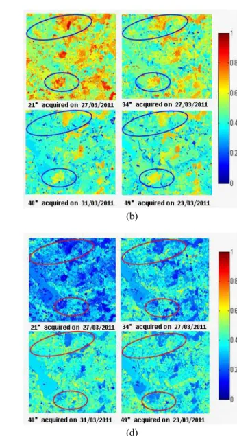 Figure 2. (a) Land cover, (b)Single bounce, (c)Double bounce, (d)Volume scattering