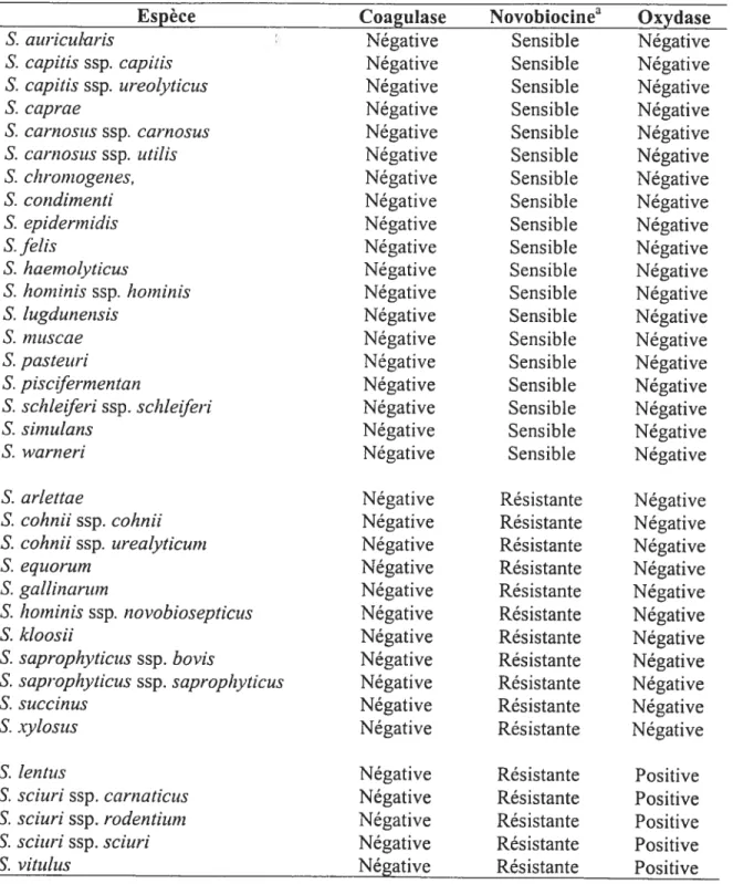 Tableau 1. Répartition sommaire des espèces de Staphylococcus coagulase négative selon certains caractères phénotypiques