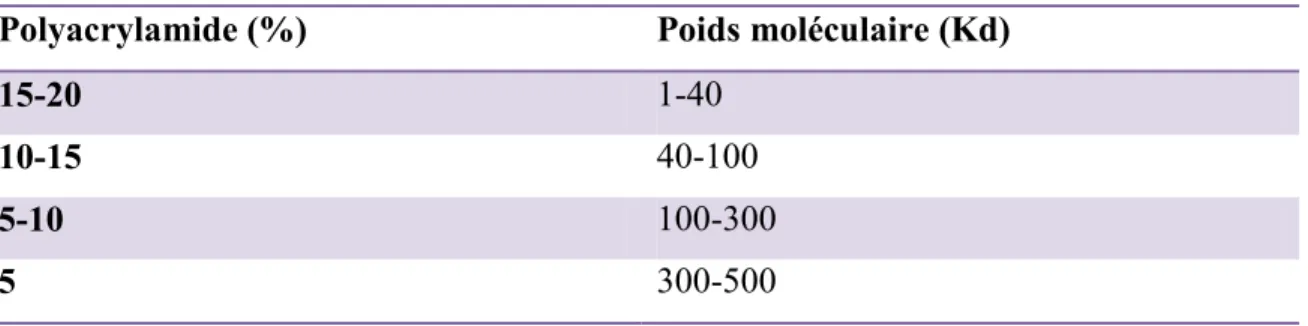 Tableau II.I : Concentration de gel de polyacrylamide nécessaire pour la séparation  distincte des protéines de poids moléculaire variables