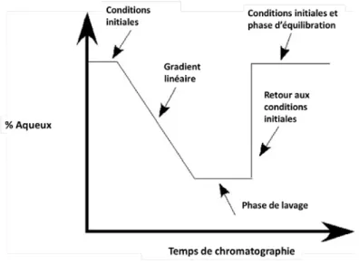 Figure 2.3 : Exemple de gradient de phase mobile pour HPLC (Laboratoire de Dr Beaudry) 