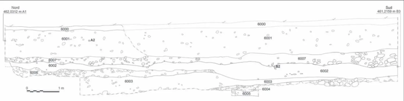 Fig. 21 – Grande coupe nord-sud du secteur F. On remarque le remblai 6003 utilisé pour niveler le bas de pente et le niveau de circulation 6006