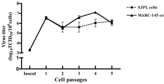 Figure 2.  PRRSV infectious particles production in infected SJPL cells following five  consecutive passages