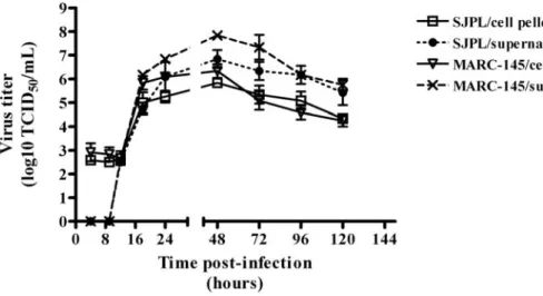 Figure 3.  PRRSV replication kinetics in infected SJPL cells.  MARC-145 and SJPL  cells were infected at 1 MOI with PRRSV IAF-Klop strain