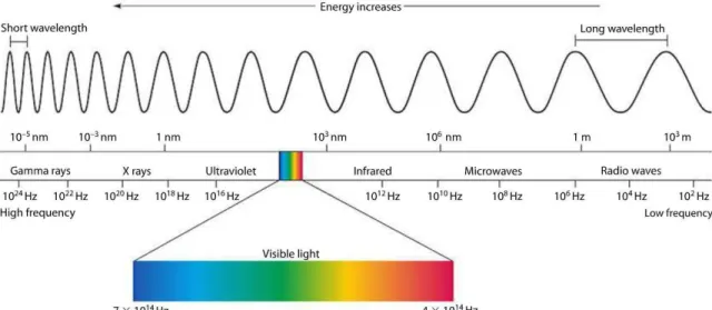 Figure 3 The electromagnetic spectrum 