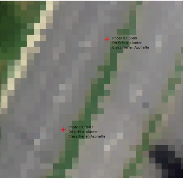 Figure 17 Miss-positioning of validation points: two points said to be 'ready to plant' falling on an asphalt road 