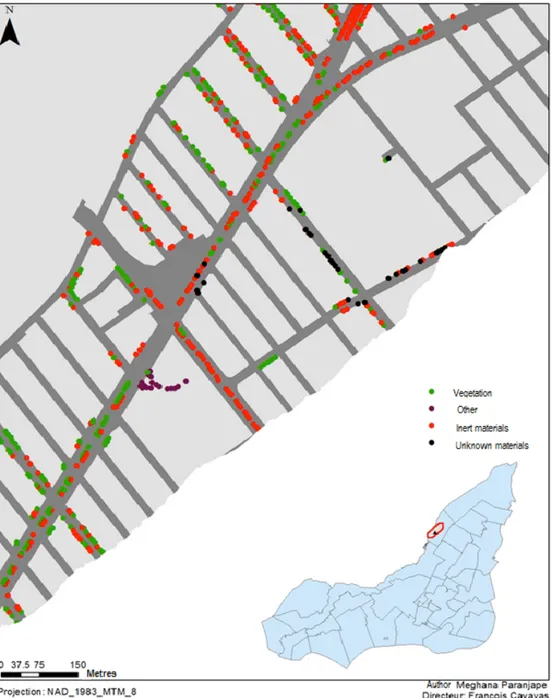 Figure 20 Urban surface materials at potential planting points of a portion of Montreal North, Montreal, (QC) Canada 