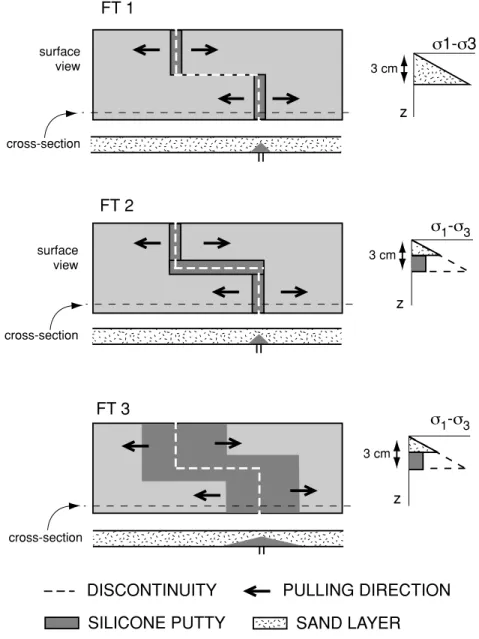Figure 3. Experimental settings: FT 1 without a silicone band on the transform discontinuity; FT 2 with a narrow silicone band on the transform discontinuity;