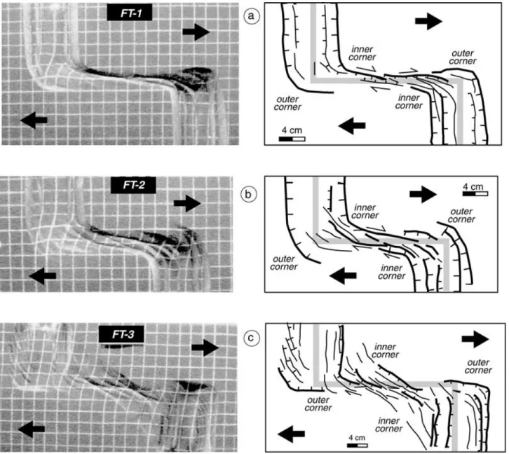 Figure 4. Experimental results. The left-hand column displays surface views of the experiments at the end of the deformation