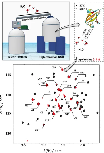 Figure 3. Experimental strategy for hyperpolarized multi-dimensional NMR of  proteins