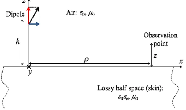 Figure  1:    Lateral  view  of  the  theoretical  model.  The  physical and geometrical parameters used in the paper  are shown in the picture