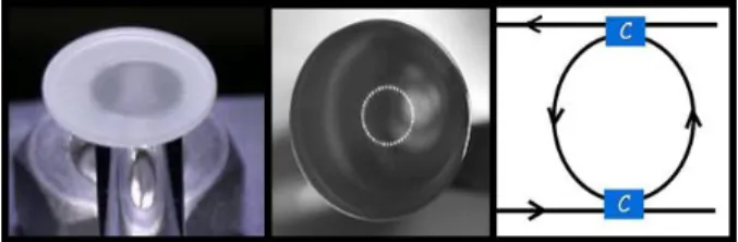 Figure 1: Quartz 7 mm minidisc (left), silica 3 mm minisphere (middle),  and fiber ring resonator (right)
