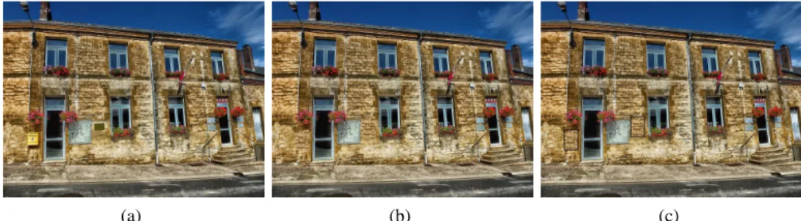 Figure 5: The initial application of SCOTT is the concealment of objects. SCOTT takes two models from a visual environment (a) and synthesizes a concealment two-level texture