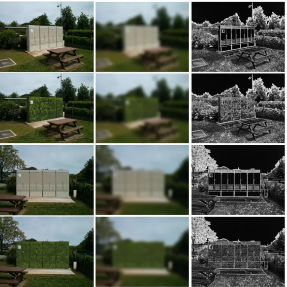 Figure 7: SCOTT uses the dominant colors and forms of the environment. In a realistic simulation, when we process the original image of a visual environment, and its version with the concealment texture (left column) with a Gaussian filter (middle column) 