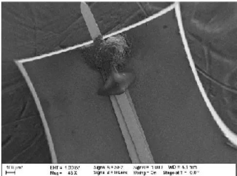 Fig. 1.  Scanning  electron  image  of  the  NSMM-cantilever  manufactured by RMN®. 