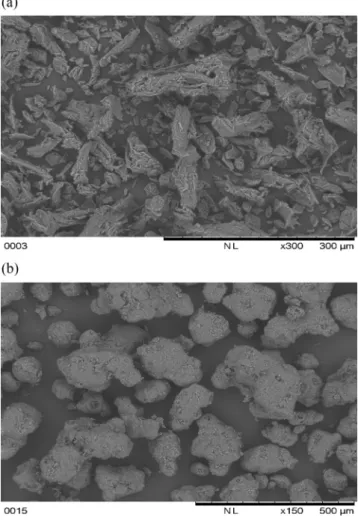 Fig. 1. Scanning Electron Microscopy images of the excipients (a) MCC 101 and (b) mannitol.