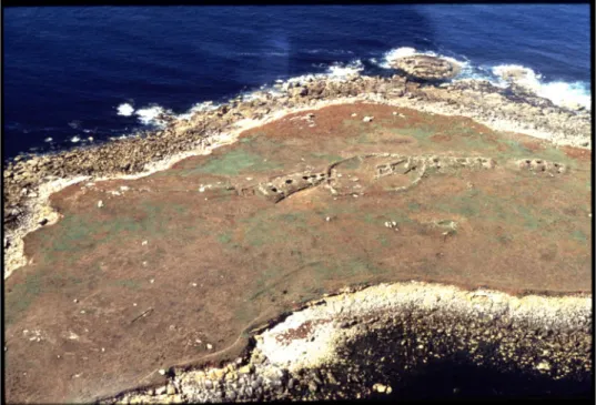 Figure 5: Aerial view of the megalithic burials and Gaulish settlement on  Guennoc Island (photo by M.Y