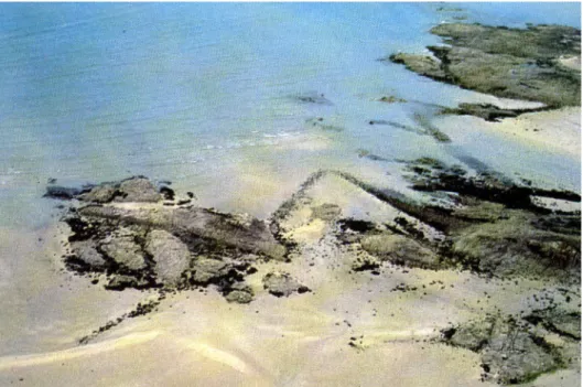 Figure 7: Ancient fish traps, Saint-Jacut-de-la-Mer (photo by L. Langouët). 