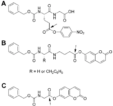 Figure 3-1 Aromatic ester donor substrates of gTG2. 